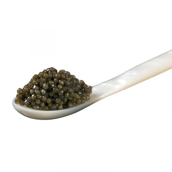 CRU Mother of Pearl Teaspoon for Caviar