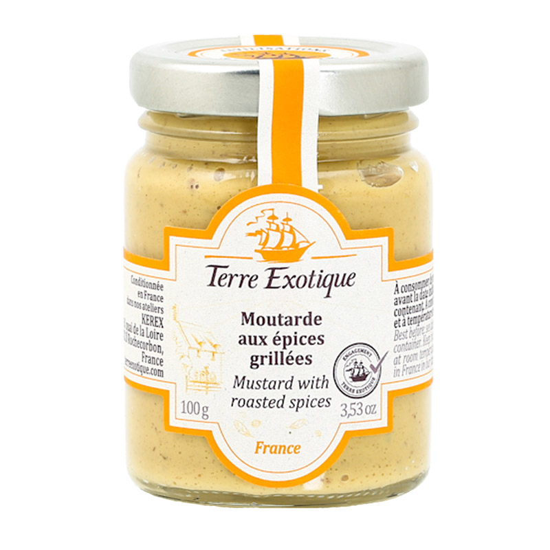 s11164-mostarda-de-dijon-com-especiarias-grelhadas-terre-exotique-100g_2023_2