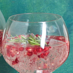 Gin Fizz de Romã