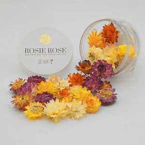 Flores Especiais Mistura de Flores-de-palha Rosie Rose 15un