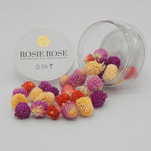 Flores Especiais Mistura de Perpétuas Rosie Rose 15un